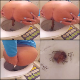 A Bulgarian girl takes a shit and piss while hovering or bending over a toilet in 4 scenes. Poop action is completely visible as well as finished product in the toilet bowl. One of the best Hot Poison clips, ever! 166MB, MP4 file. Over 21.5 minutes.